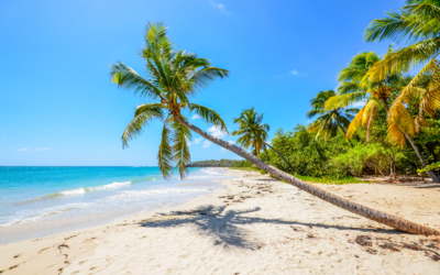 Les 9 plus belles plages de la Martinique